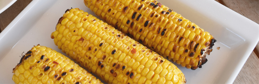 Banner 1